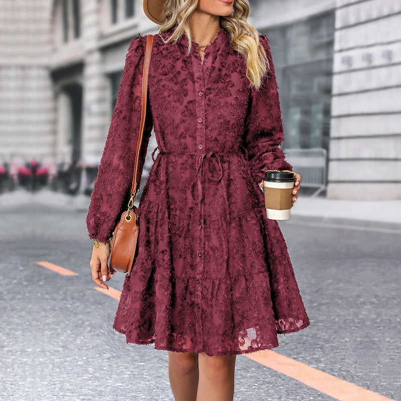 Lace Tie Long Sleeve A-Line Short Dress for Women